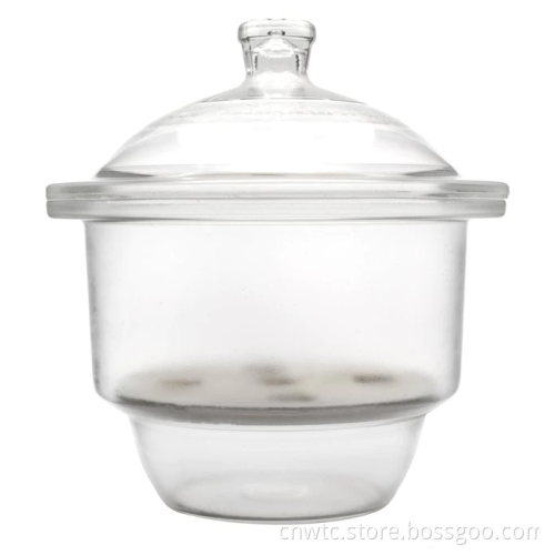Glass Desiccator with Porcelain Plate and Lid: A Comprehensive Guide and Product Search